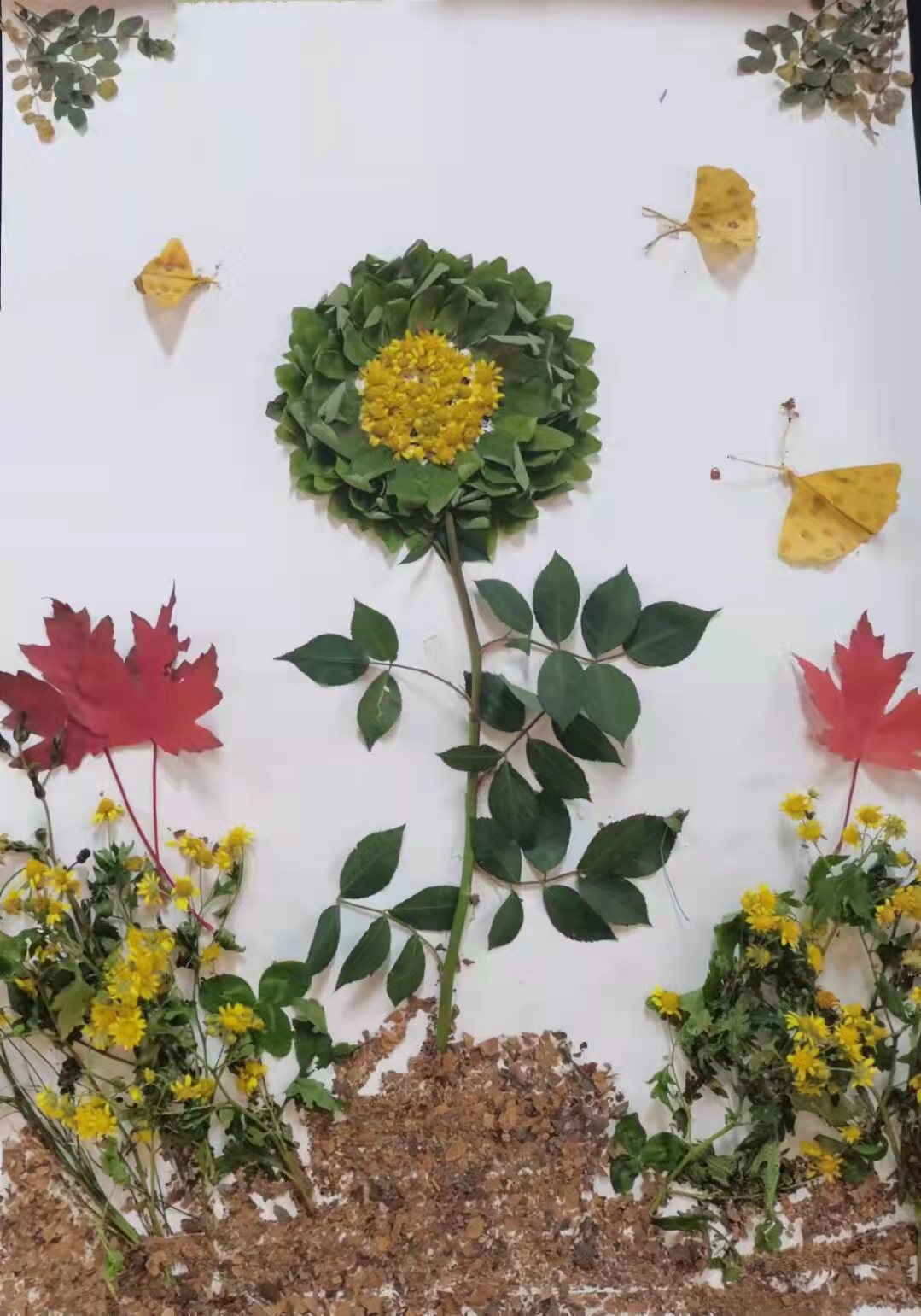 作品主题：面朝阳光 春暖花开
作品作者：刘凯瑞 刘吕奇 