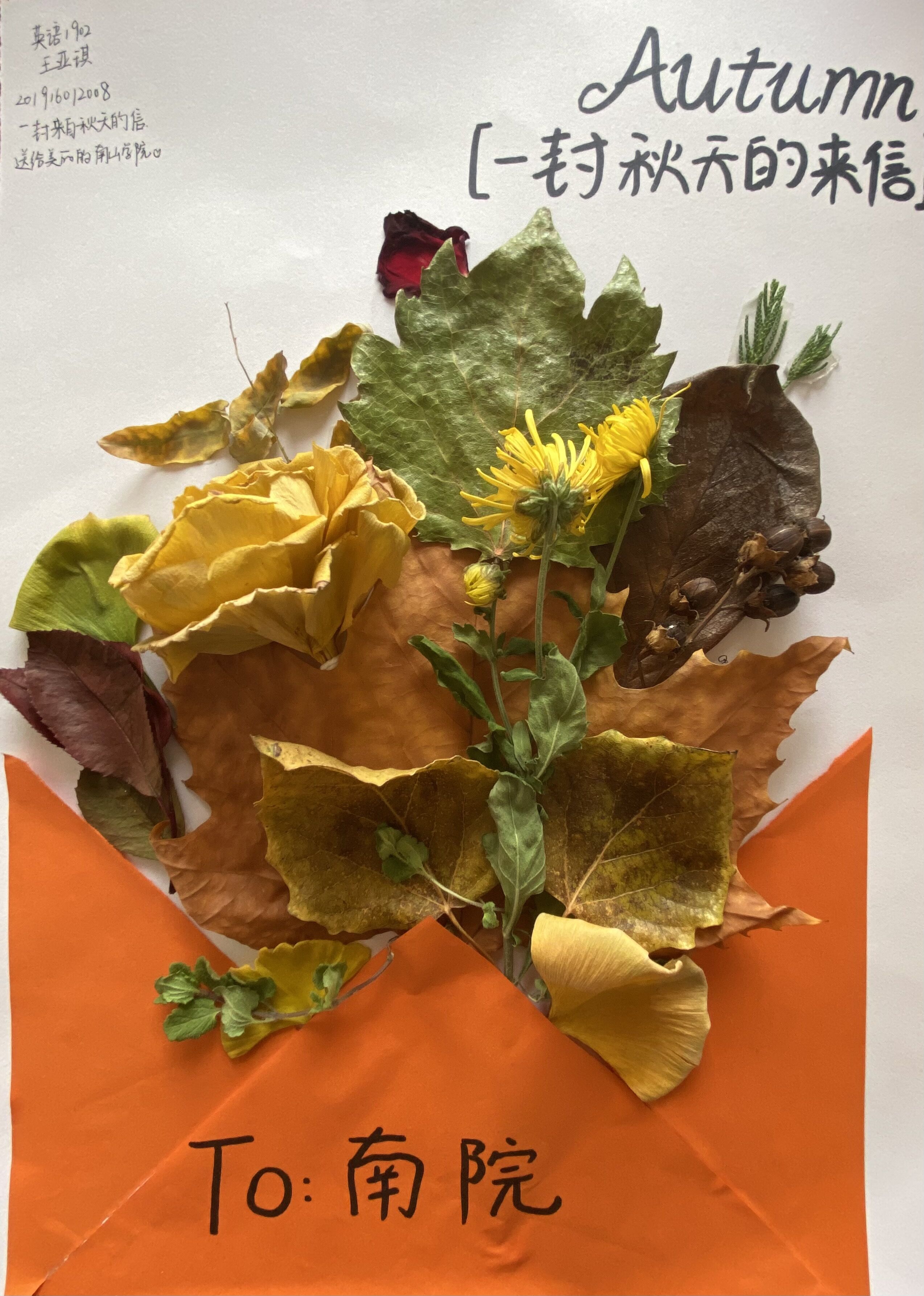 一封秋天的来信，送给美丽的南山学院和可爱的同学们。