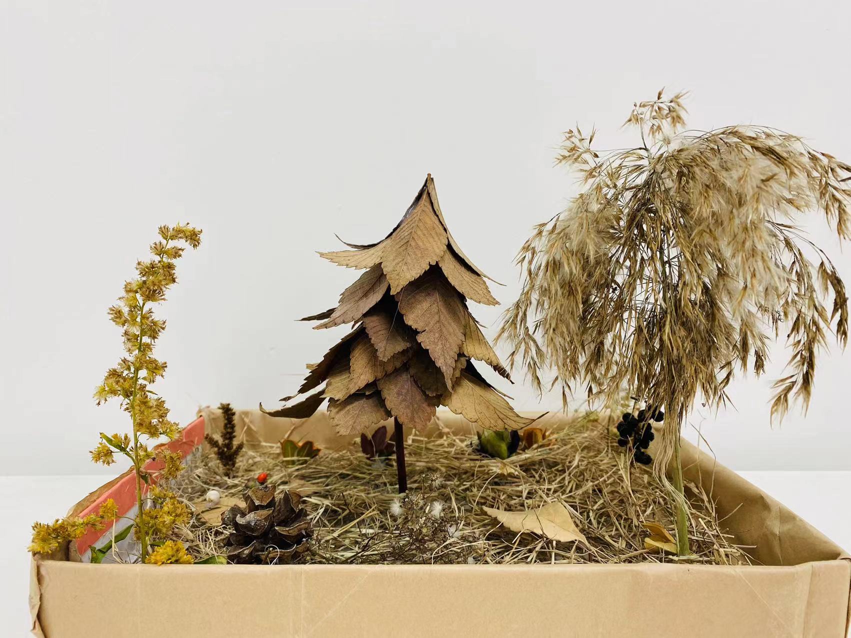 学院"秋冬的心事"园艺贴画作品展示 - 校园心理社团 - 中国大学生在线