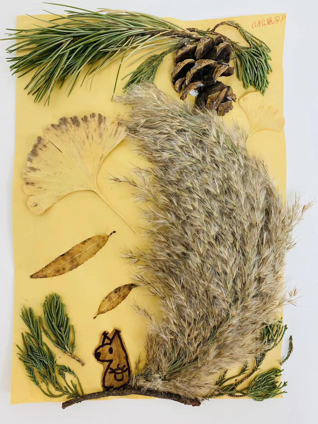 作品：松鼠
作者：徐宏
作品简介：秋日的小精灵——松鼠，在森林中跳跃，带来秋日的欢快与轻松。
