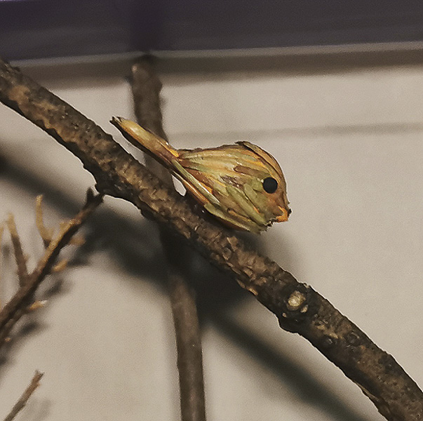 “真粗的枝桠呀，可以让我停靠着休息，朋友们，快来！”