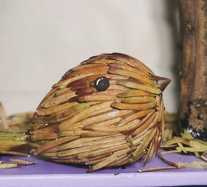 鸟听不懂树的忧伤，它们自来熟的飞过来停在了树枝上。