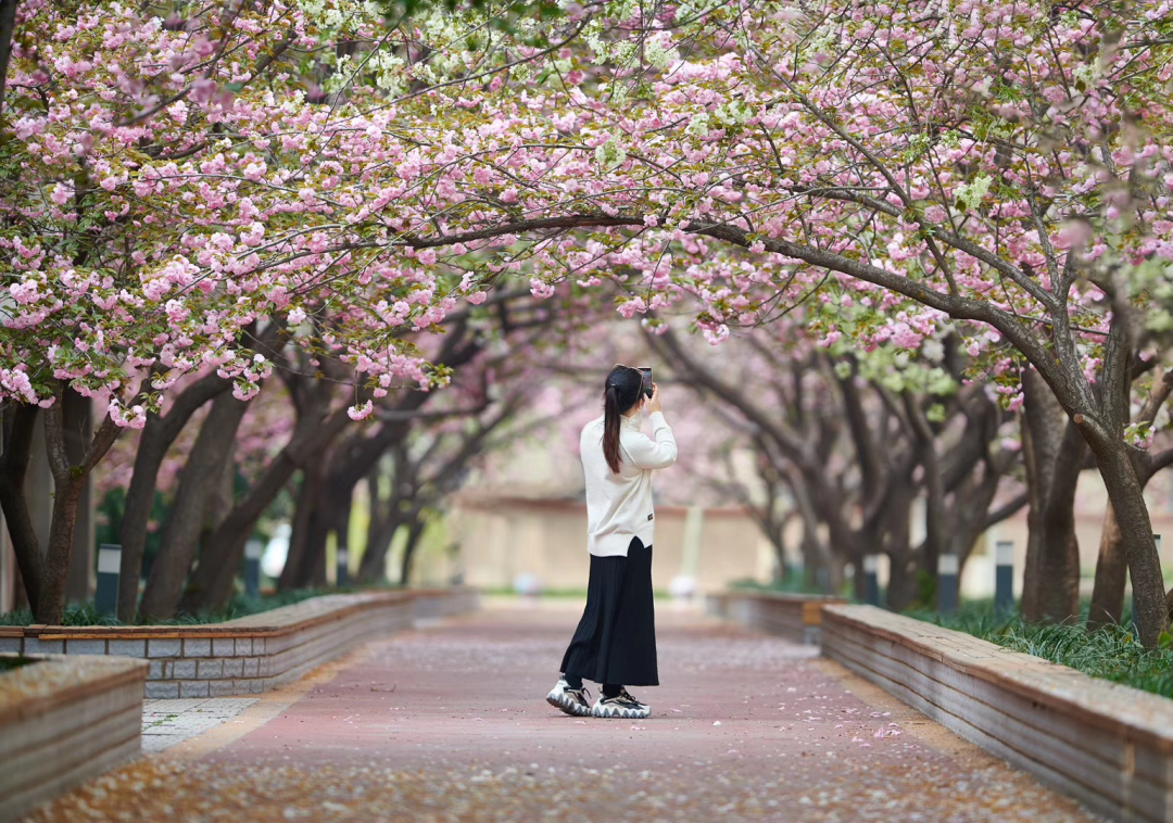 河南农业大学 - 中国大学生在线