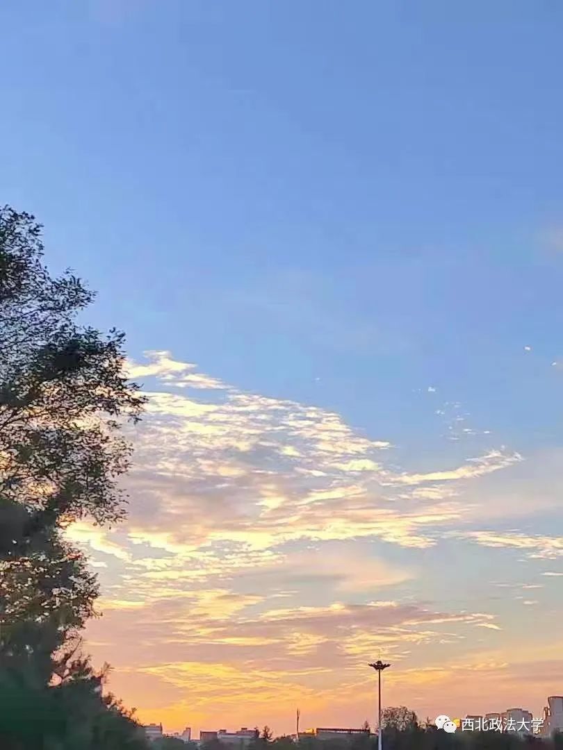 西法大丨晚霞温柔分你一半