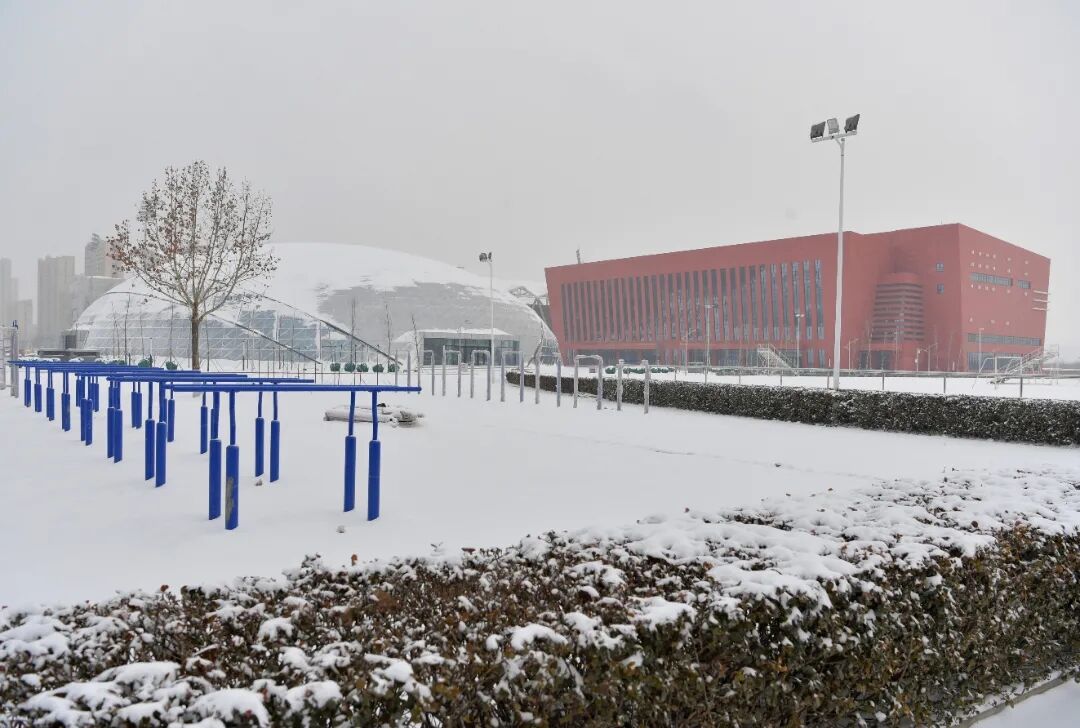 河大虎年初雪|新雪初霁,绝色予你 - 河北大学 - 中国大学生在线