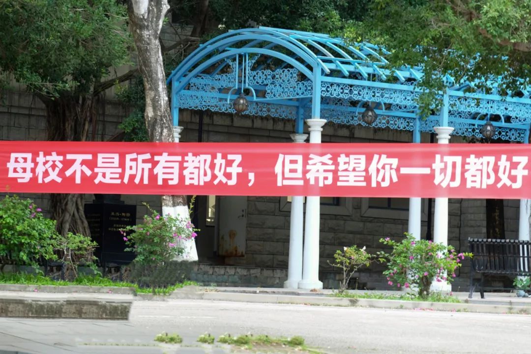 母校不是所有都好但希望你一切都好