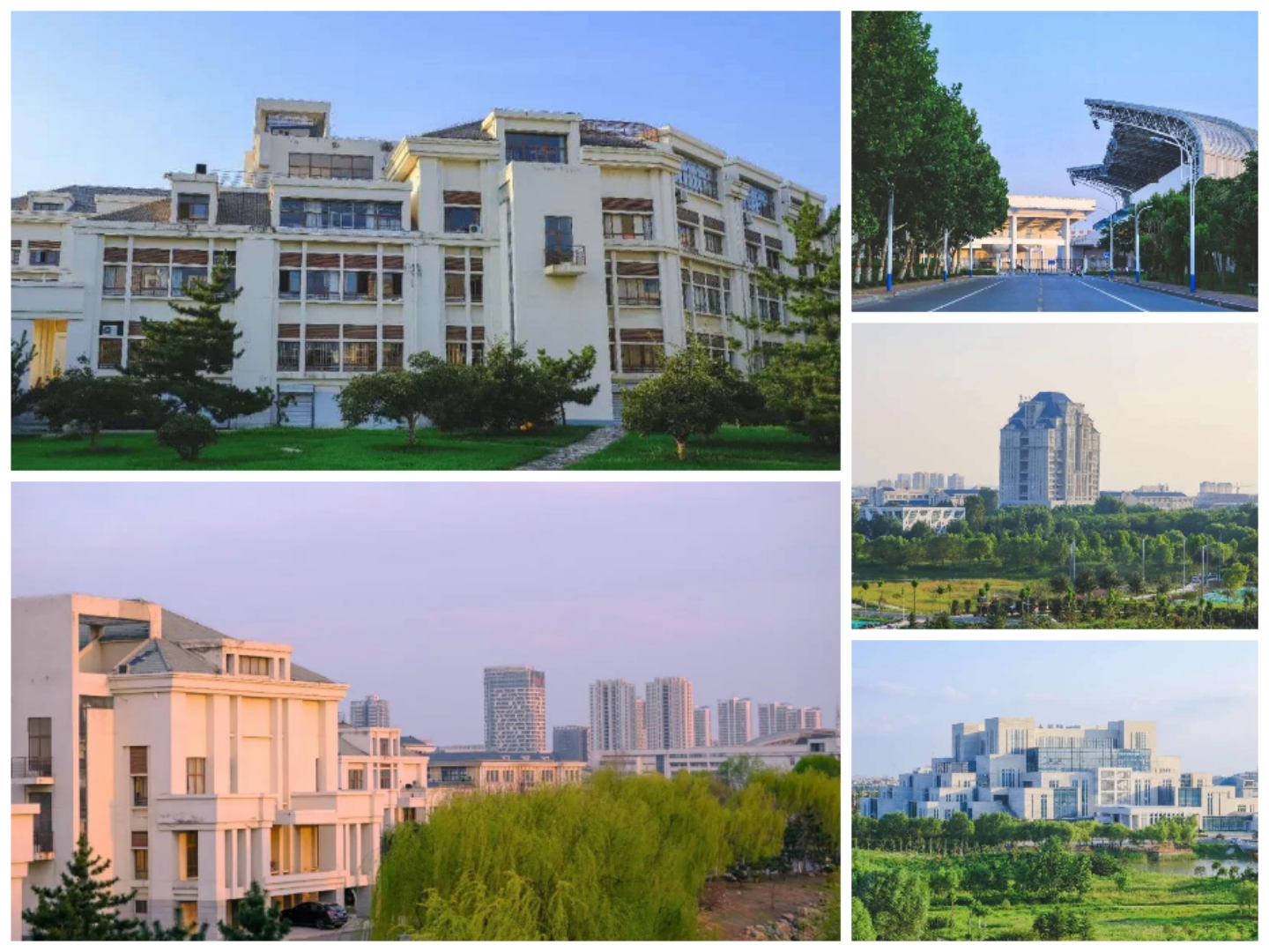 临沂大学 - 中国大学生在线