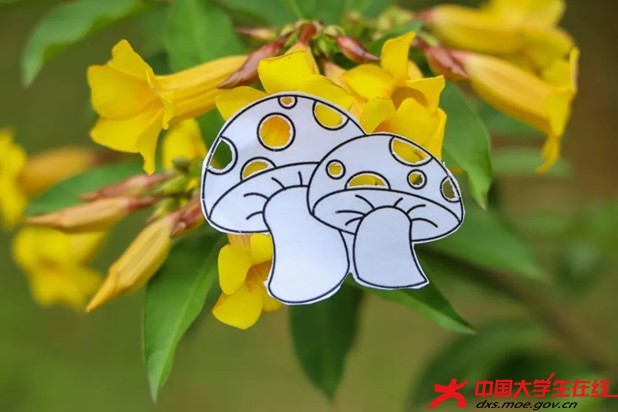 图片18.jpg