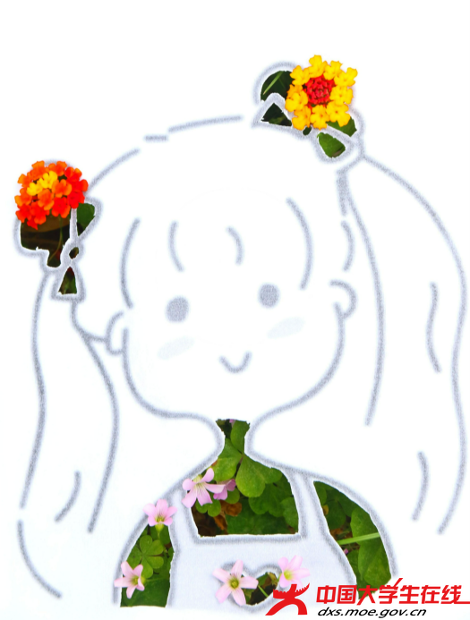 图片14.png