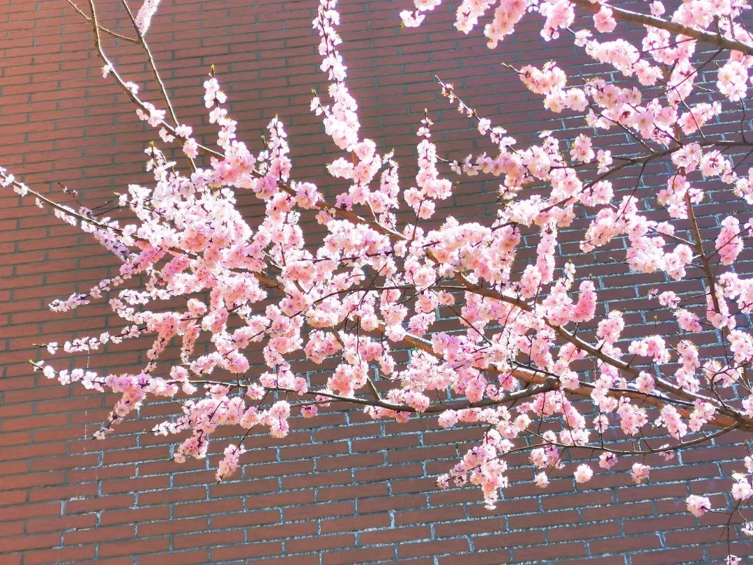 微信图片_20220426084920.jpg 微信图片_20220426084920.jpg