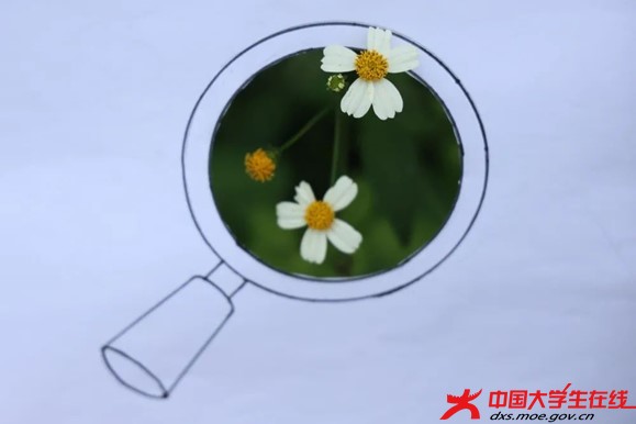 图片19.jpg