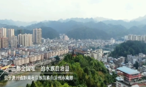 水族.png 水族.png