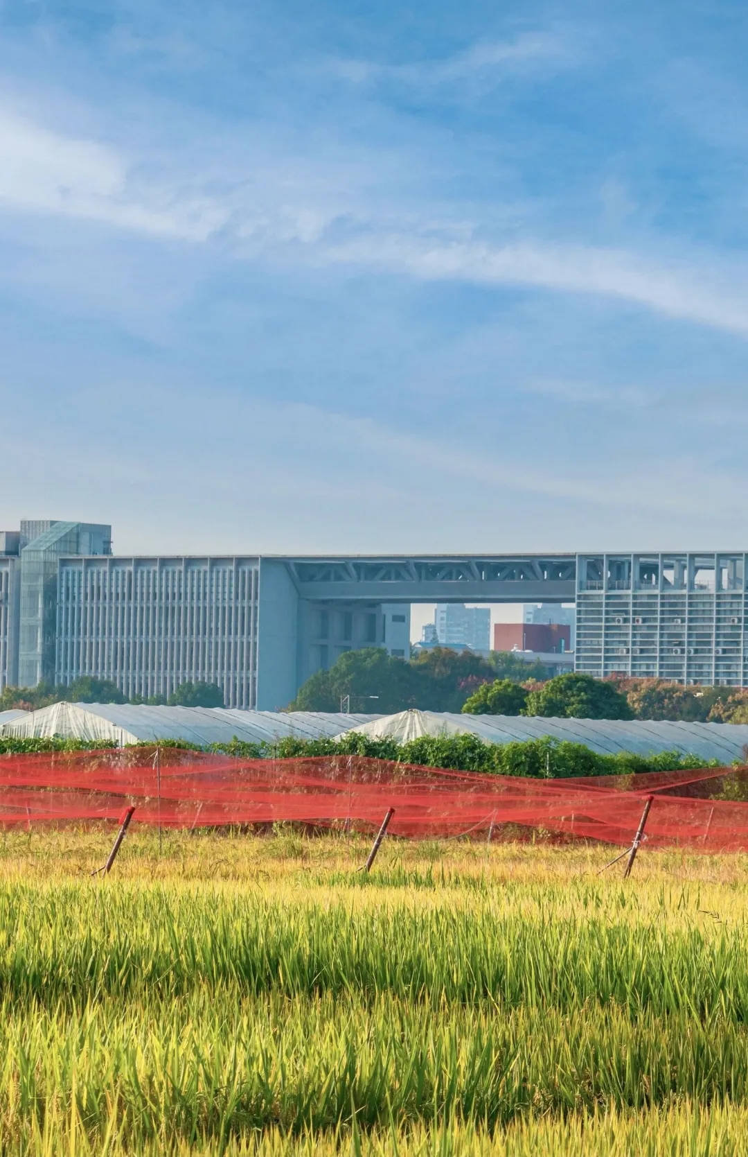 华中农业大学 - 中国大学生在线