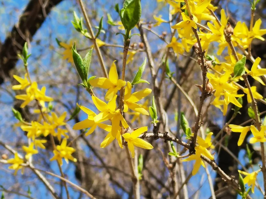 微信图片_20220426084744.jpg 微信图片_20220426084744.jpg