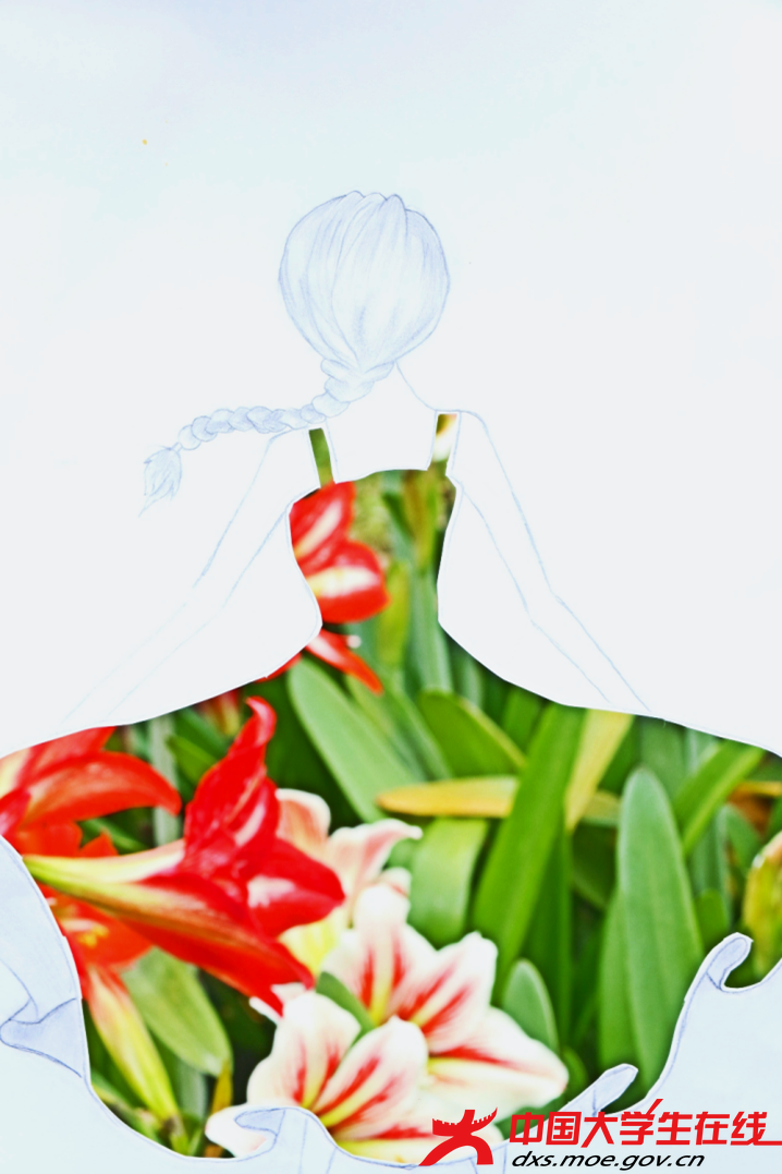图片15.png