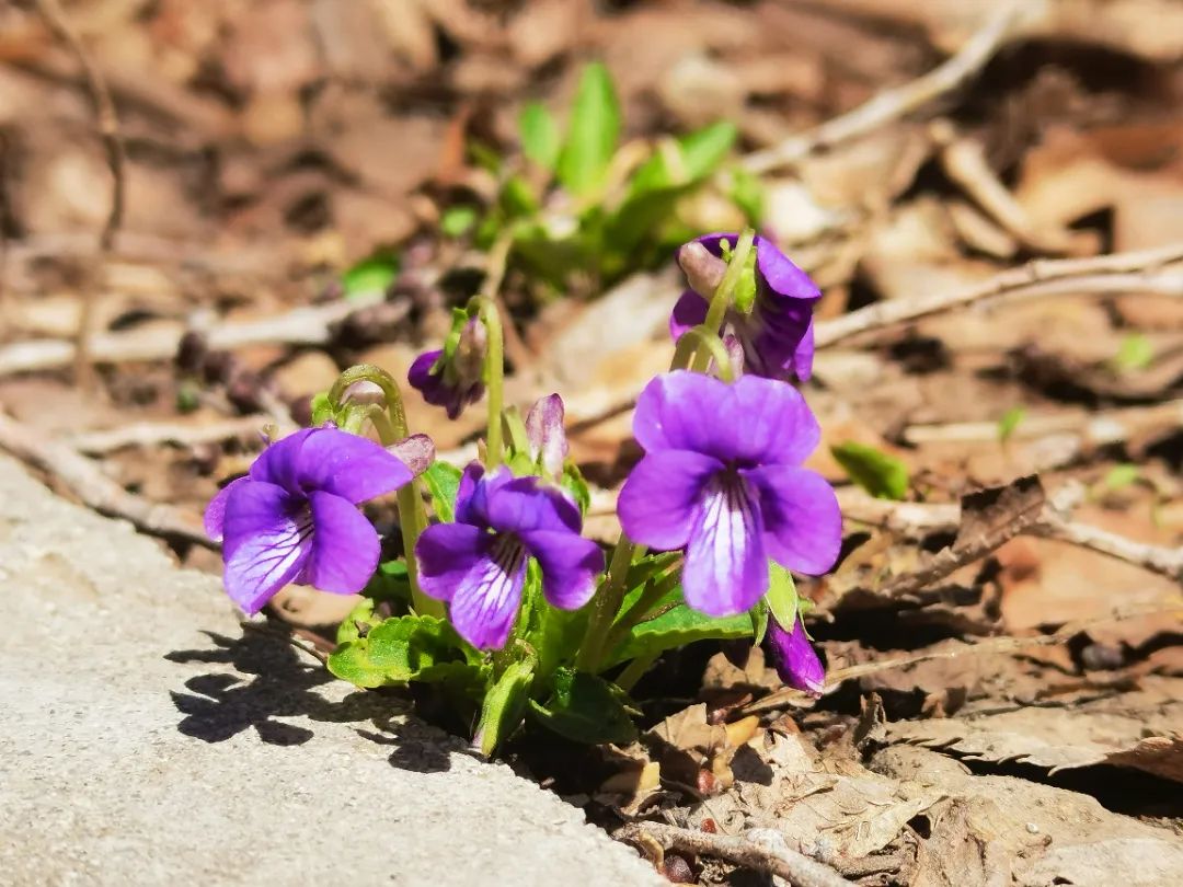 微信图片_20220426085206.jpg 微信图片_20220426085206.jpg