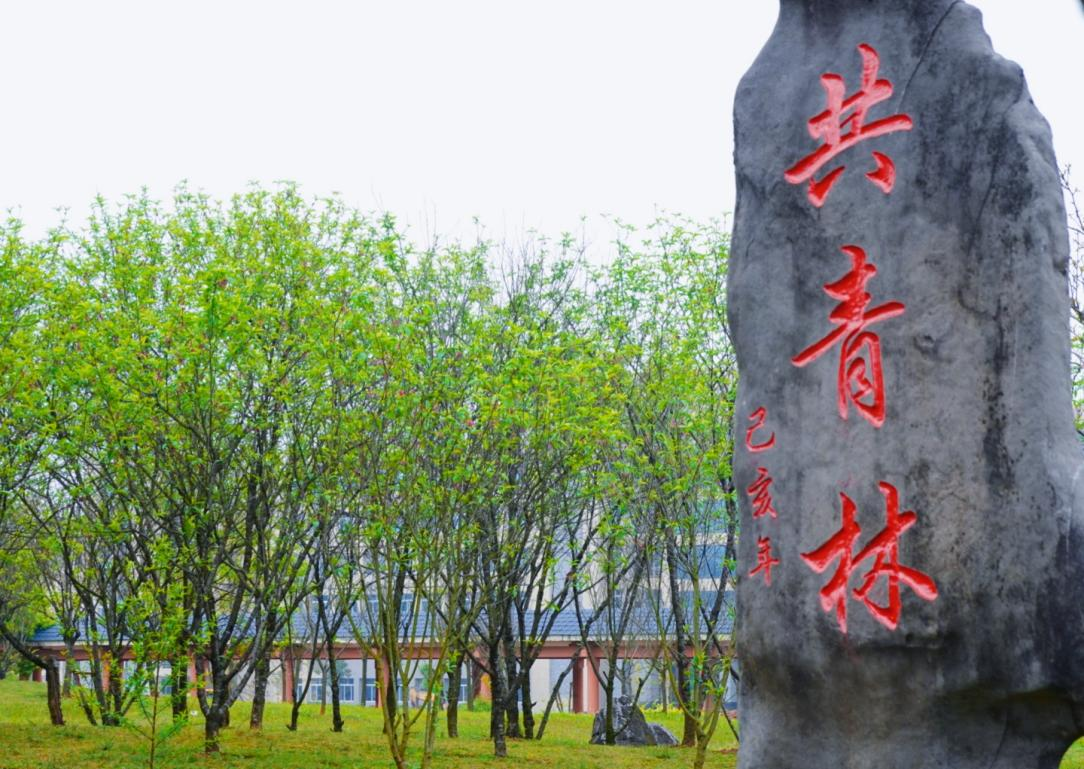 学校雁山校区“共青林”一角.png 学校雁山校区“共青林”一角.png
