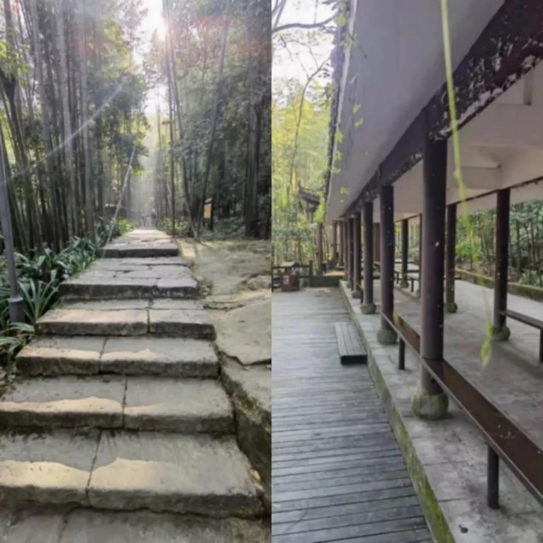 西南大学 - 中国大学生在线