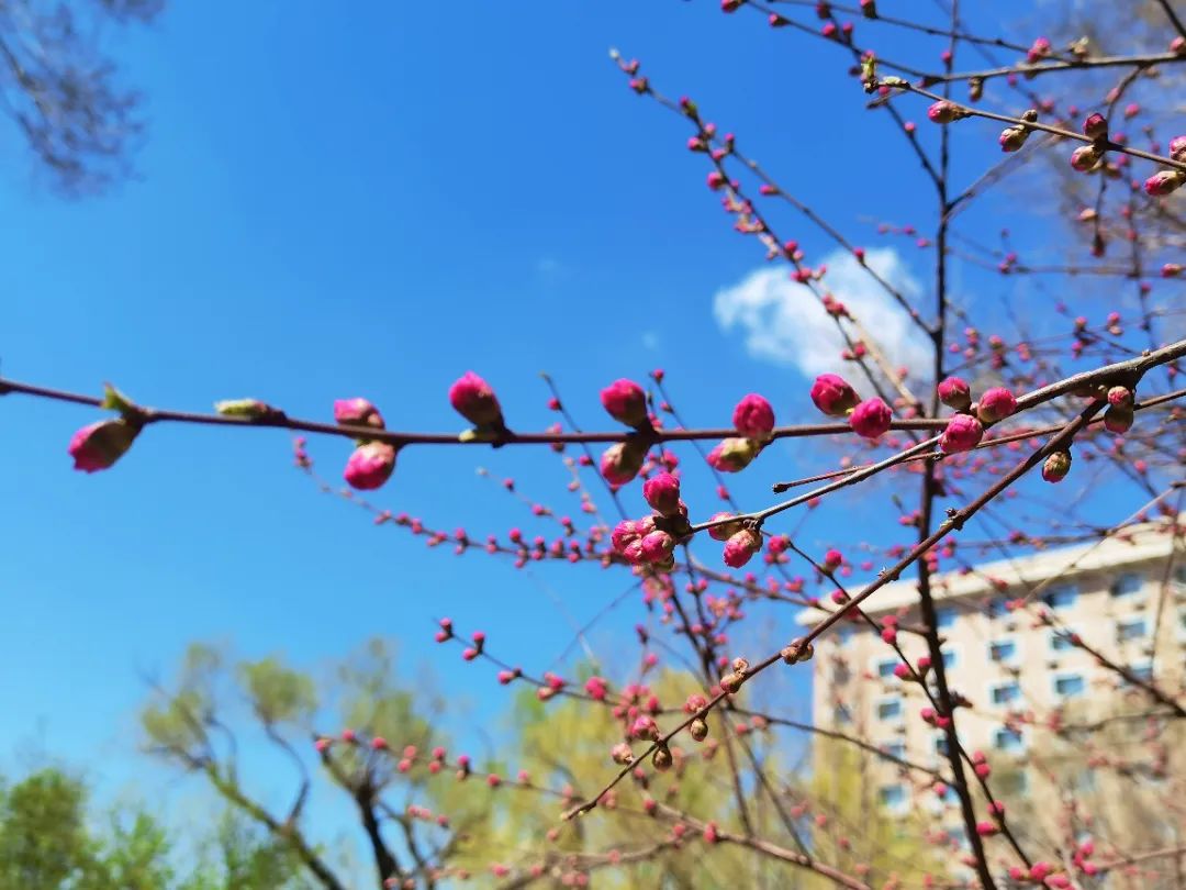 微信图片_20220426085048.jpg 微信图片_20220426085048.jpg