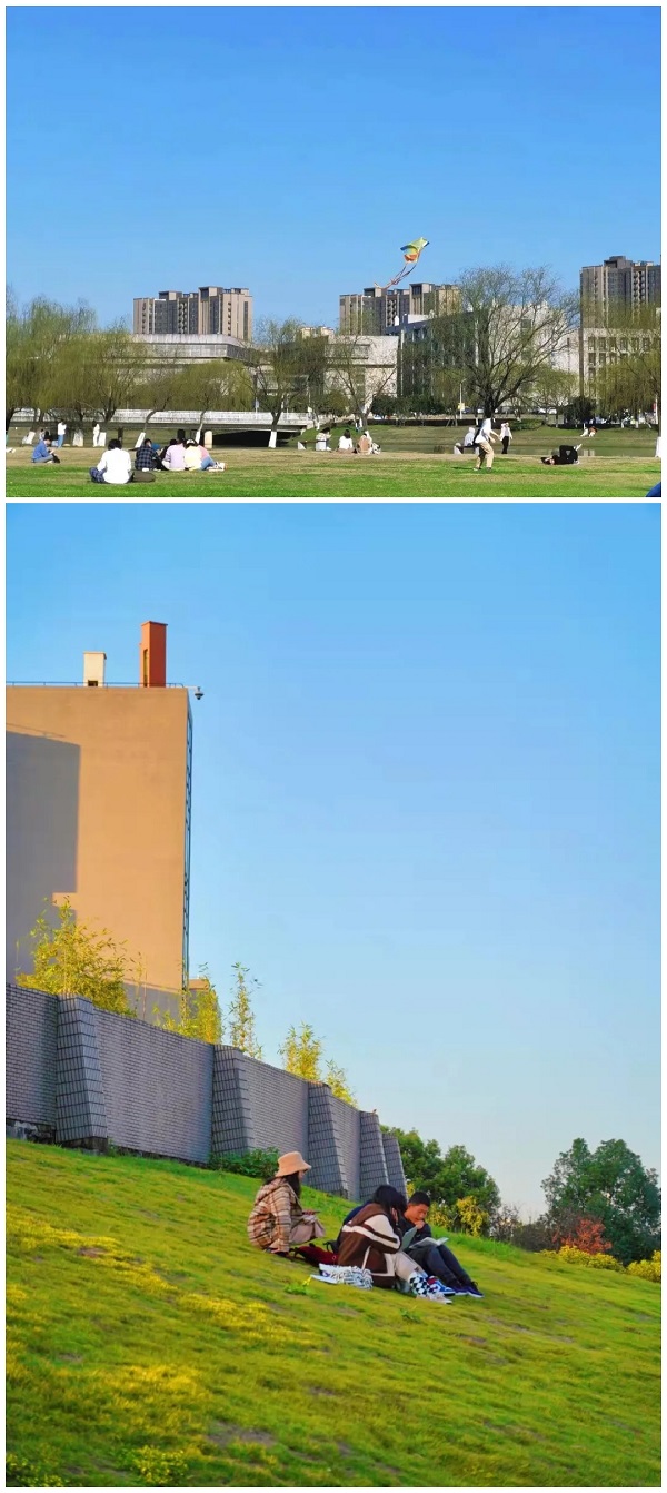 5.jpg 5.jpg