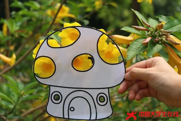 图片20.jpg