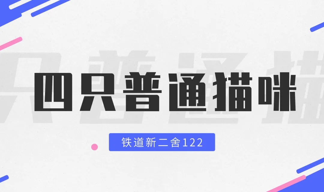 南12.webp.jpg 南12.webp.jpg