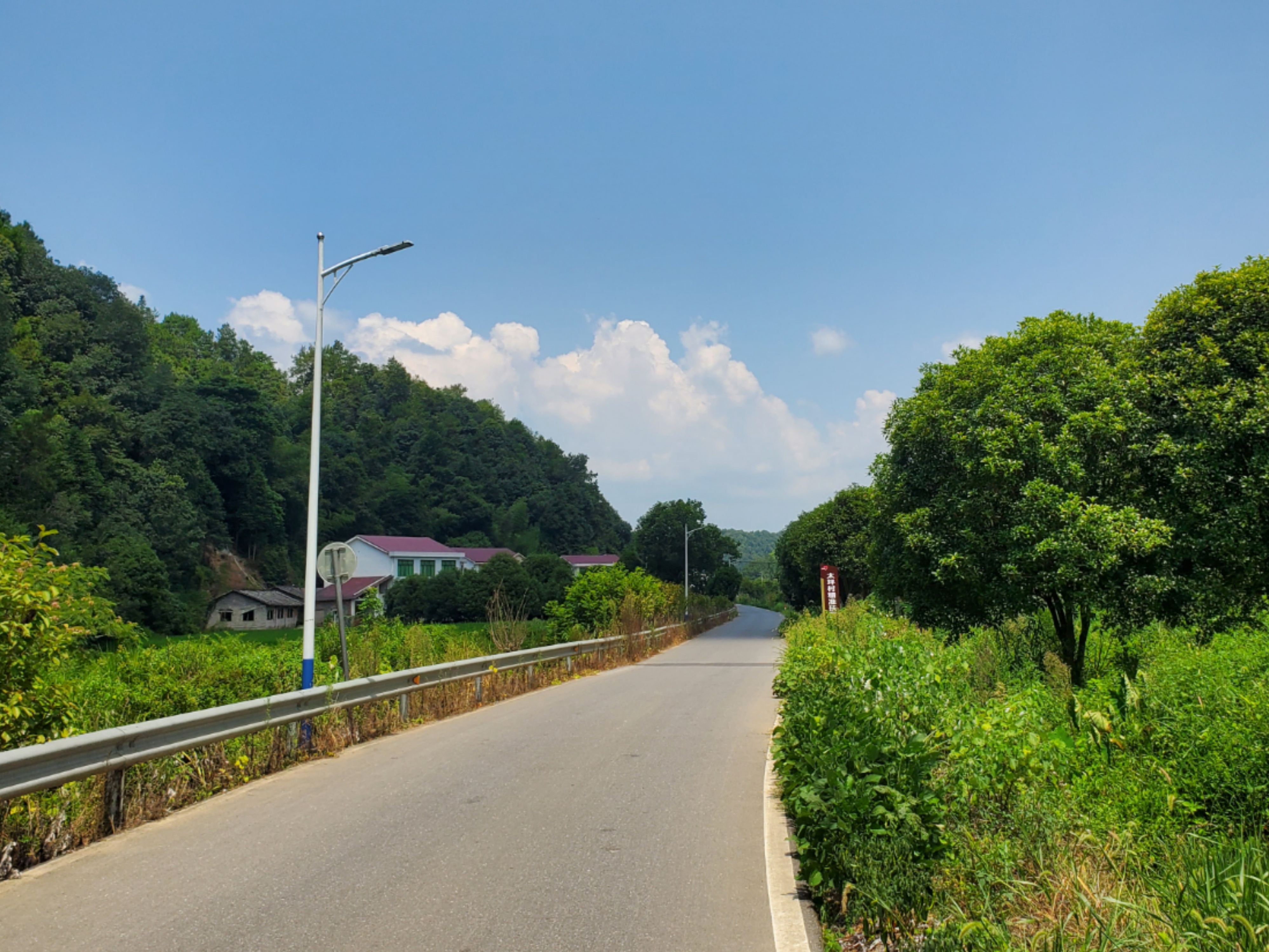 实践队员调研地区之一——高坪镇 陈晓雪摄.jpg 实践队员调研地区之一——高坪镇 陈晓雪摄.jpg